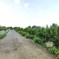 باغ و باغچه ۳۰۰ متری/سنددار/نگهبانی فول تایم|فروش زمین و ملک کلنگی|شهریار, |دیوار