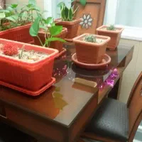 میز غذاخوری|میز و صندلی غذاخوری|اصفهان, ارداجی|دیوار
