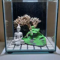 آکواریوم فایتر