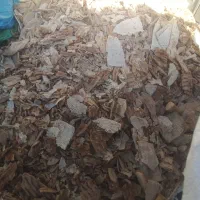 نان خشک بدون حرف