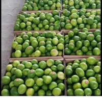 لیمو درجه یک