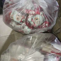 کوکا لبوبو|اسباب‌بازی بچه|مشکین‌دشت, |دیوار