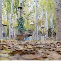 به سه نفر همکار