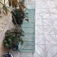 جا شیشه ایی حبوبات برای سوپر مارکت