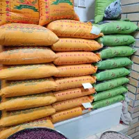 برنج پاکستانی و ایرانی|خوردنی و آشامیدنی|بجنورد, |دیوار