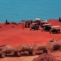 گشت جزیره باسه چرخ