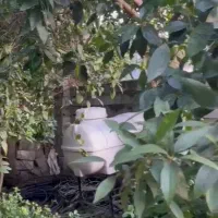چابکسر ۱۱۰۰متر مرکز شهر ویلای بازسازی شده|فروش خانه و ویلا|چابکسر, |دیوار