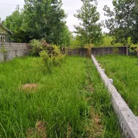 253 متر زمین مسکونی روستایی در اطراف رضوانشهر|فروش زمین و ملک کلنگی|رضوانشهر, |دیوار