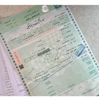 سرمایه گذار در کار نمایشگاه