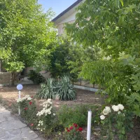 باغ-زیبا-زیر-قیمت-ابسرد-فاز-یک-الهیه