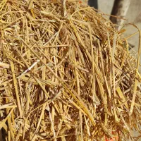 یونجه/علوفه|لوازم جانبی حیوانات|تهران, علم و صنعت|دیوار