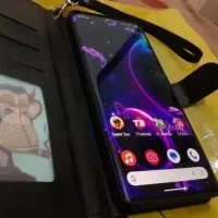 داریا باند ۲۵۶