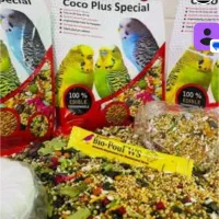 انواع دانه عروس هلندی طولی کاسکو مرغ مینا قناری|لوازم جانبی حیوانات|لاهیجان, کوی زمانی|دیوار