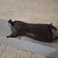 مشک آب