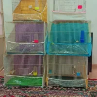 قفس پرنده