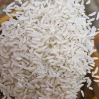 فروش برنج فجر محلی|حراج|نگین شهر, |دیوار