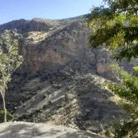 کوه گردی