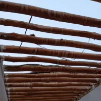 چ وب درآمده اسقف خریداریم سالم وپوسیده