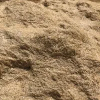 کاه گندم