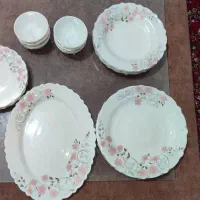 ظروف ارکوپال 25
