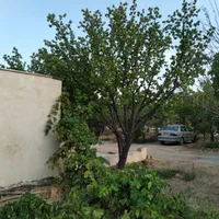 باغ فروشی با انواع درختان میوه شهر سامان|فروش زمین و ملک کلنگی|اصفهان, مارچین|دیوار