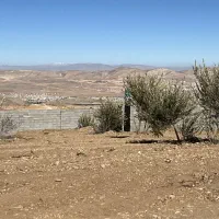 باغچه-600-متر