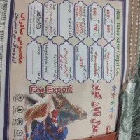 یک جفت فرش 9 متری و کنار فرشی|فرش|شیراز, کوشک میدان|دیوار