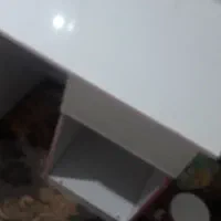 میز تحریر|میز تحریر و کامپیوتر|مراغه, |دیوار