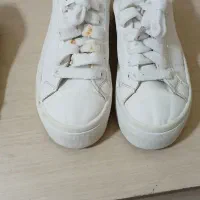 کفش کتونی