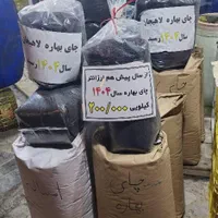 چایی بهاره لاهیجان سال۱۴۰۴ (امساله)