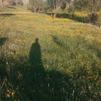 نیاز به راهنمایی دارم