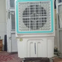کوار ابی