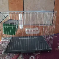 قفس