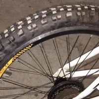 دوچرخه ویوا ۲۴ دو عدد|دوچرخه، اسکیت، اسکوتر|آبپخش, |دیوار