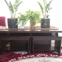 مبلمان در حد نو|مبلمان خانگی و میز عسلی|فلاورجان, |دیوار