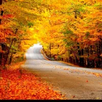 عروس هلندی گمشده