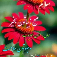 دنبال کارم راهنمایی کنید ممنونم