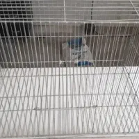 قفس و لانه معاوضه با نرگسی وفنچ.
