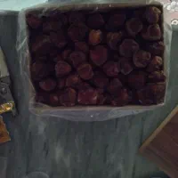 خرمای برهی|خوردنی و آشامیدنی|برازجان, |دیوار