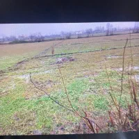 5000متر زمین شالیزار سنتی داخل طرح