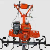 تیلر زنی باغ و...