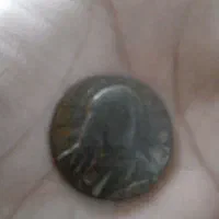 سکه زیر خاکی