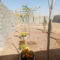 باغچه-فروشی