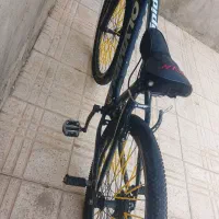 دوچرخه ۲۶|دوچرخه، اسکیت، اسکوتر|اسفرورین, |دیوار