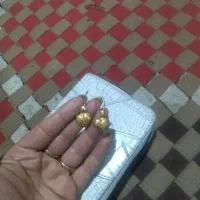گلگوش صدفی