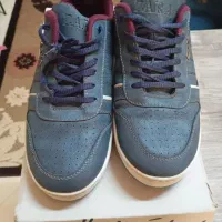 کفش اسپرت|کیف، کفش، کمربند|مشهد, عامل|دیوار