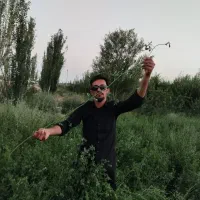 بذر یونجه با تناژ نه تن در هکتار|خدمات باغبانی و درختکاری|شیراز, آبیاری|دیوار