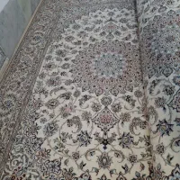 فرش  لچک ترنج نائین