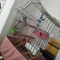 این قفس به فروش میرسد