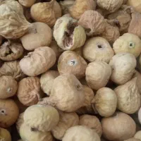 انجیر استهبان|خوردنی و آشامیدنی|شیراز, گل سرخ|دیوار